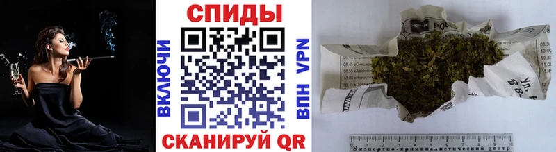 дарнет шоп  маркетплейс состав  Бутират бутик  Перевоз 