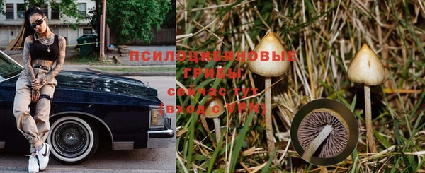 a pvp Арсеньев