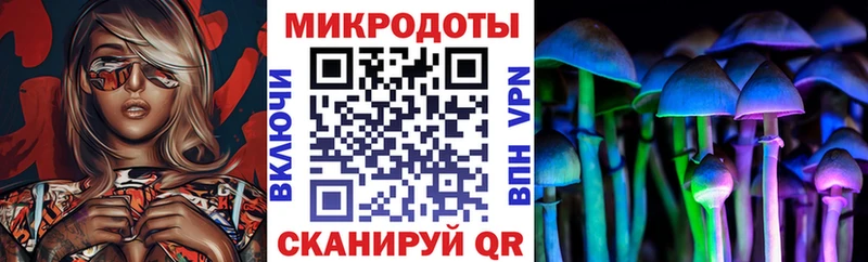 площадка какой сайт  Перевоз  Галлюциногенные грибы Psilocybe 
